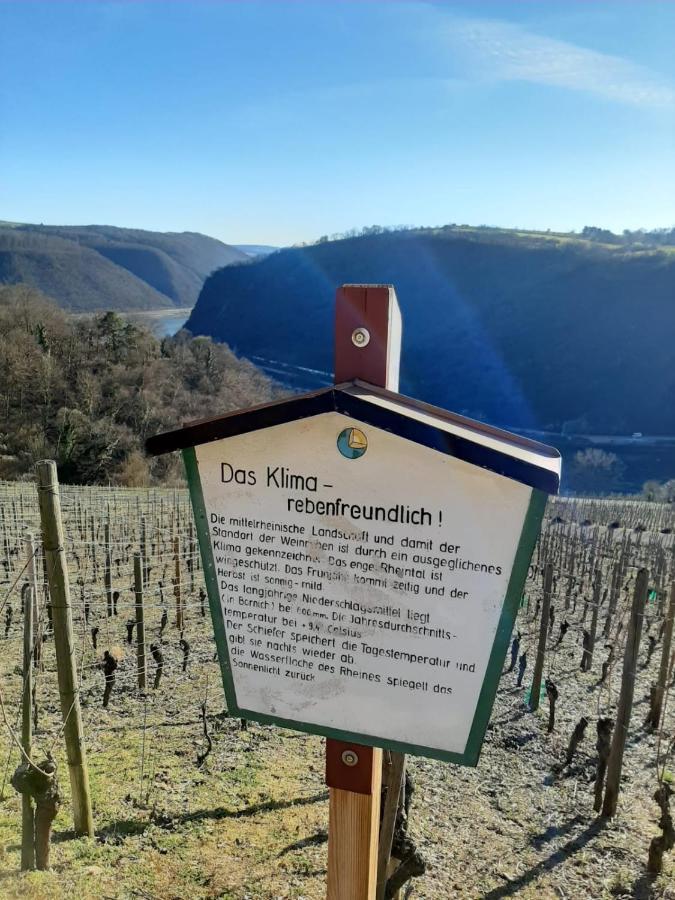 Ferienwohnung Auszeit Rheingauer Rosengasse Johannisberg Exterior foto